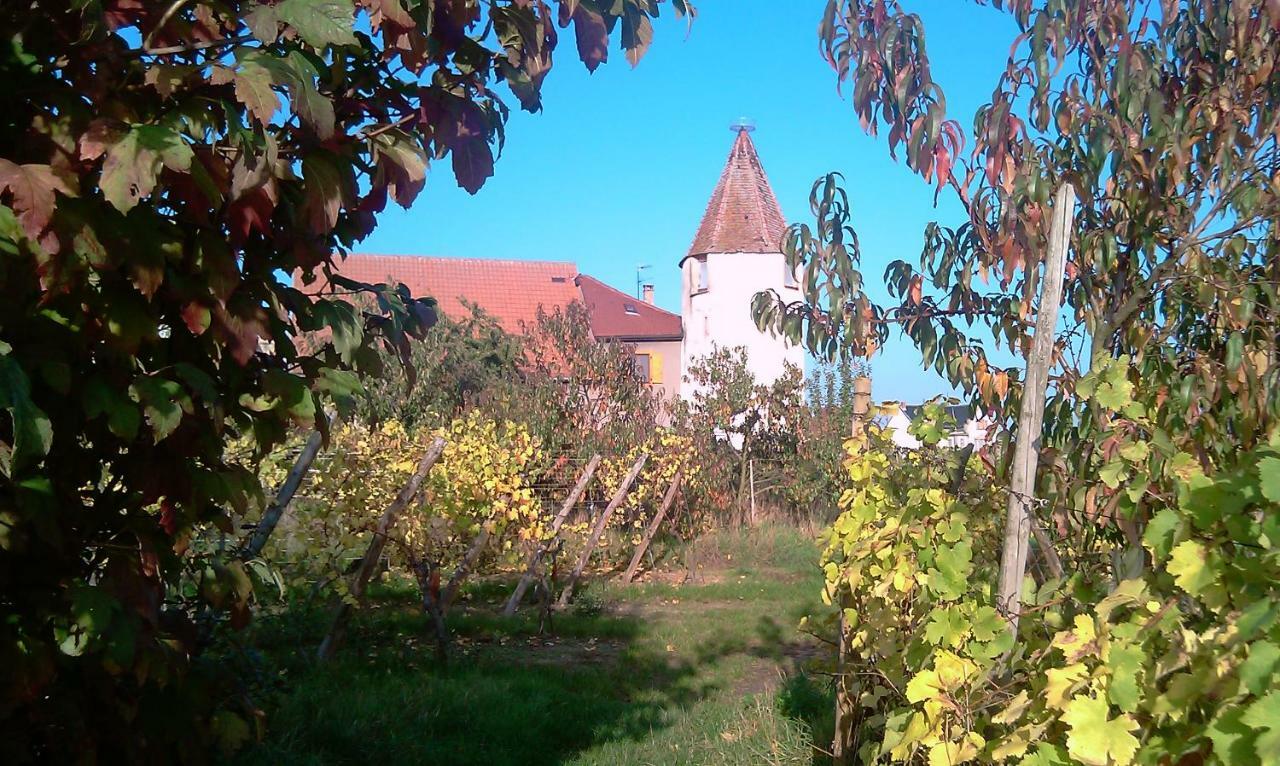 Les Gites De La Tour, Appartement "La Plaine" Saint-Hippolyte (Haut-Rhin) Exterior foto