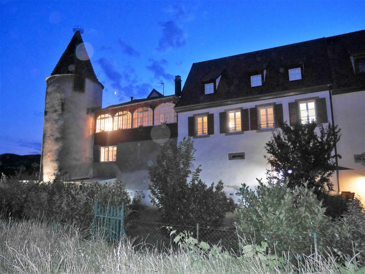 Les Gites De La Tour, Appartement "La Plaine" Saint-Hippolyte (Haut-Rhin) Exterior foto